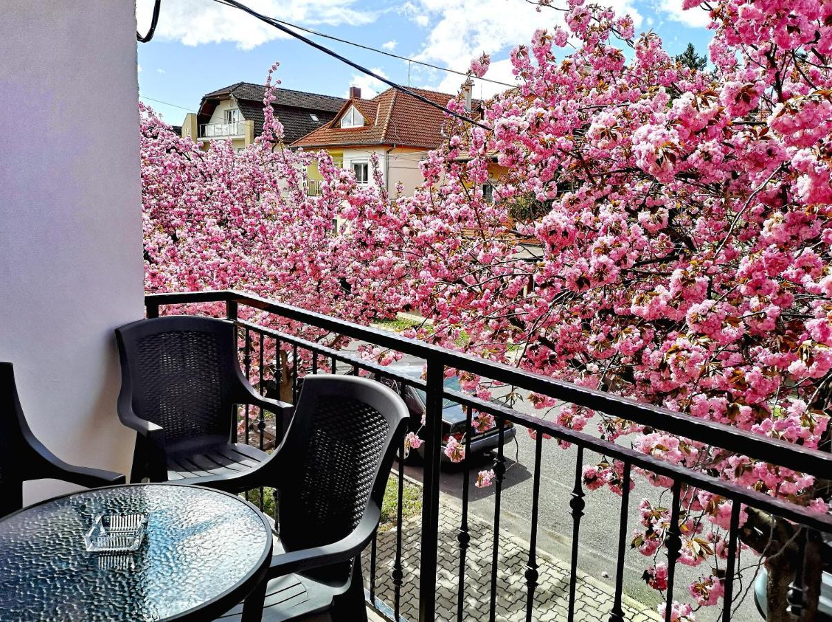Marcipan Apartment Heviz Exterior photo